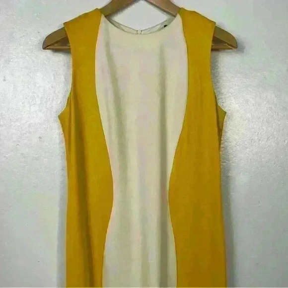 Piazza Sempione Color Block Shift Dress - Picture 5 of 10